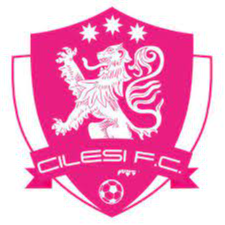 https://img.haowangx.com/img/football/team/7aa0eae9d284e6aab302a00cb5107481.png